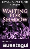 "Waiting for Shadow" 