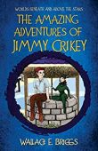 Amazing Adventures of Jimmy Wallace Briggs