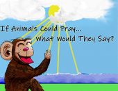 If Animals Could PrayWhat Jarred Stansell