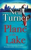 Plane in the Lake Neil Turner