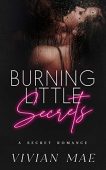 Burning Little Secrets Vivian Mae