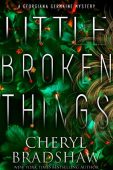 Little Broken Things Cheryl  Bradshaw 