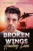 Broken Wings Healing Love Stormi Maxwell