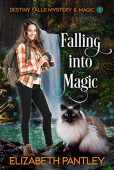 Falling into Magic  Elizabeth Pantley