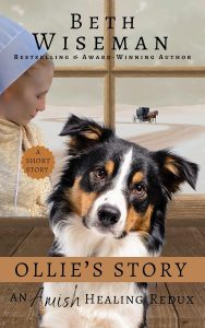 Amish Healing novel